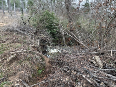 East Texas Hunting/Recreational/Timber Tract For Sale - image 8