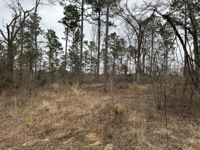 East Texas Hunting/Recreational/Timber Tract For Sale - image 2