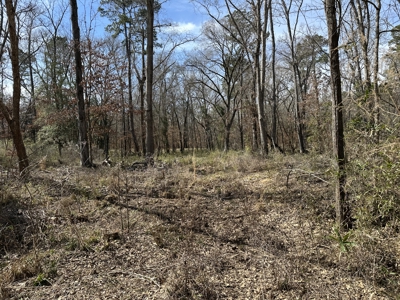 East Texas Hunting/Recreational/Timber Tract For Sale - image 21