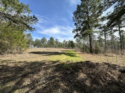 East Texas Hunting/Recreational/Timber Tract For Sale - image 27