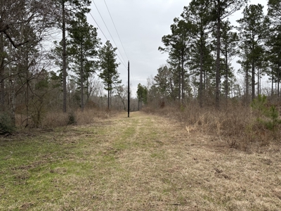 East Texas Hunting/Recreational/Timber Tract For Sale - image 17