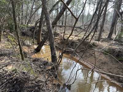 East Texas Hunting/Recreational/Timber Tract For Sale - image 36