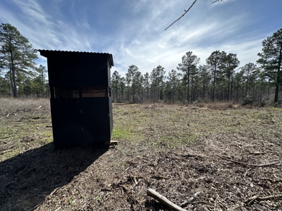 East Texas Hunting/Recreational/Timber Tract For Sale - image 29