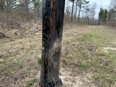 East Texas Hunting/Recreational/Timber Tract For Sale - image 18