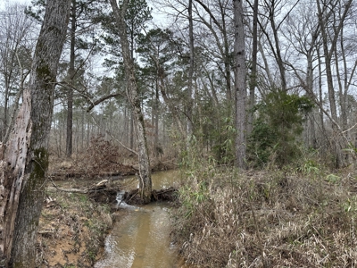 East Texas Hunting/Recreational/Timber Tract For Sale - image 16
