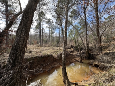 East Texas Hunting/Recreational/Timber Tract For Sale - image 38