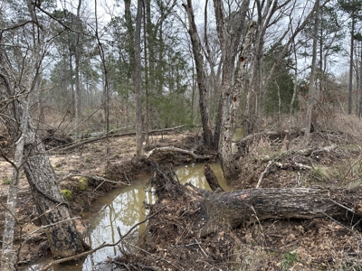 East Texas Hunting/Recreational/Timber Tract For Sale - image 5