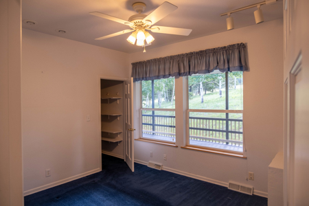 Large Mountain Home for Sale in Westcliffe, Colorado - image 10