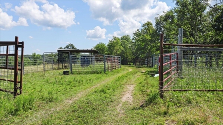 Ozarks Farm for Sale! 155 Acres of Land for Sale! - image 16