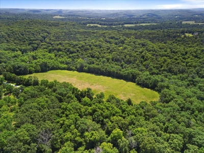 Ozarks Farm for Sale! 155 Acres of Land for Sale! - image 43