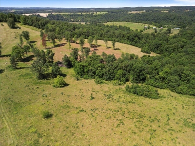 Ozarks Farm for Sale! 155 Acres of Land for Sale! - image 24