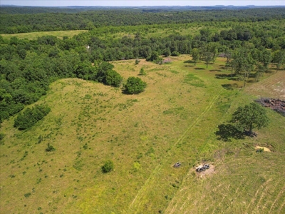 Ozarks Farm for Sale! 155 Acres of Land for Sale! - image 27