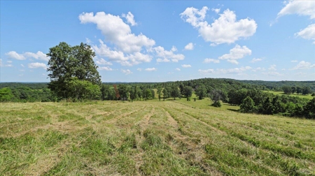 Ozarks Farm for Sale! 155 Acres of Land for Sale! - image 18