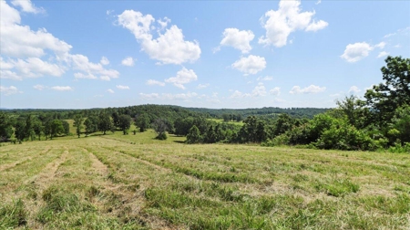 Ozarks Farm for Sale! 155 Acres of Land for Sale! - image 29