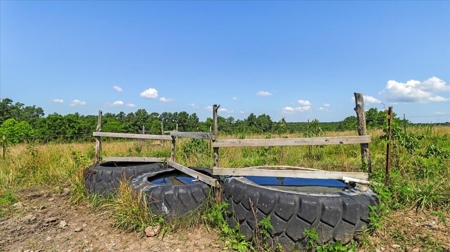 Ozarks Farm for Sale! 155 Acres of Land for Sale! - image 10