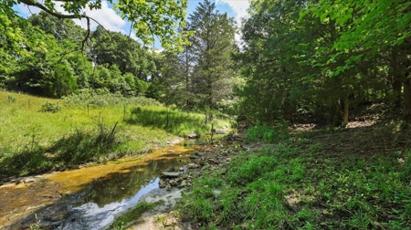 Ozarks Farm for Sale! 155 Acres of Land for Sale! - image 36