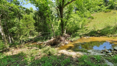 Ozarks Farm for Sale! 155 Acres of Land for Sale! - image 22