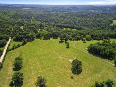 Ozarks Farm for Sale! 155 Acres of Land for Sale! - image 42