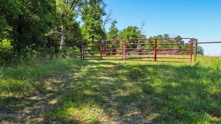Ozarks Farm for Sale! 155 Acres of Land for Sale! - image 33
