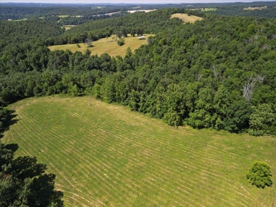Ozarks Farm for Sale! 155 Acres of Land for Sale! - image 19