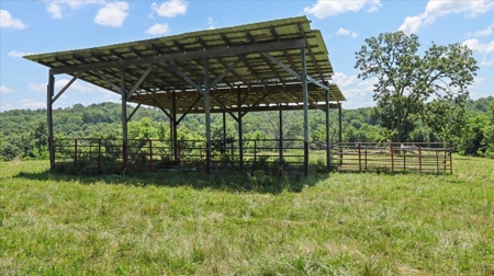 Ozarks Farm for Sale! 155 Acres of Land for Sale! - image 3