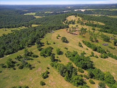 Ozarks Farm for Sale! 155 Acres of Land for Sale! - image 35