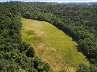 Ozarks Farm for Sale! 155 Acres of Land for Sale! - image 8