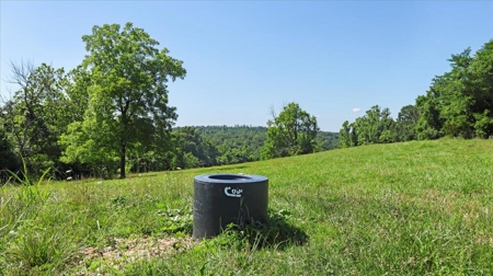 Ozarks Farm for Sale! 155 Acres of Land for Sale! - image 23