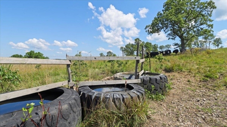 Ozarks Farm for Sale! 155 Acres of Land for Sale! - image 20