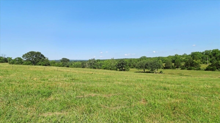 Ozarks Farm for Sale! 155 Acres of Land for Sale! - image 17