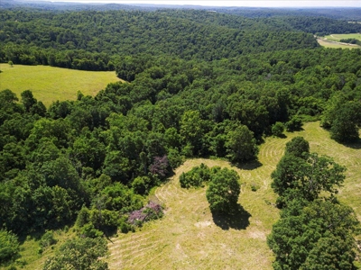 Ozarks Farm for Sale! 155 Acres of Land for Sale! - image 31