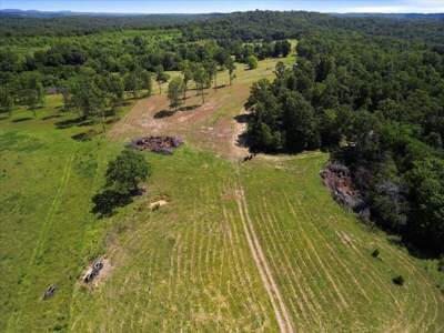 Ozarks Farm for Sale! 155 Acres of Land for Sale! - image 11