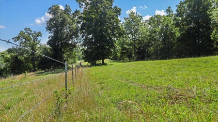 Ozarks Farm for Sale! 155 Acres of Land for Sale! - image 15