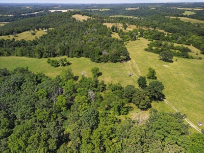 Ozarks Farm for Sale! 155 Acres of Land for Sale! - image 21