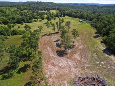 Ozarks Farm for Sale! 155 Acres of Land for Sale! - image 9