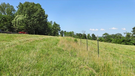 Ozarks Farm for Sale! 155 Acres of Land for Sale! - image 39