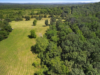Ozarks Farm for Sale! 155 Acres of Land for Sale! - image 26