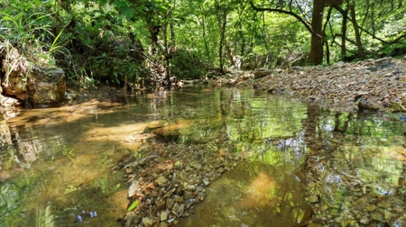 Ozarks Farm for Sale! 155 Acres of Land for Sale! - image 7