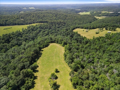 Ozarks Farm for Sale! 155 Acres of Land for Sale! - image 28