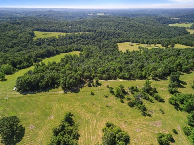 Ozarks Farm for Sale! 155 Acres of Land for Sale! - image 12
