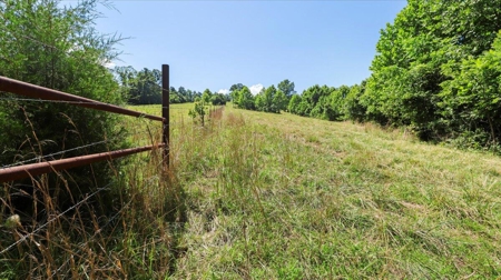 Ozarks Farm for Sale! 155 Acres of Land for Sale! - image 38