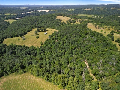 Ozarks Farm for Sale! 155 Acres of Land for Sale! - image 37