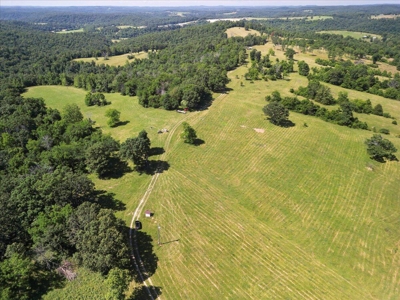 Ozarks Farm for Sale! 155 Acres of Land for Sale! - image 30