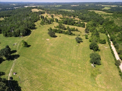 Ozarks Farm for Sale! 155 Acres of Land for Sale! - image 14