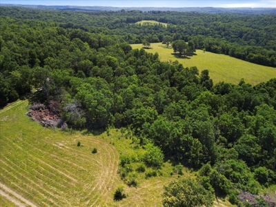 Ozarks Farm for Sale! 155 Acres of Land for Sale! - image 13