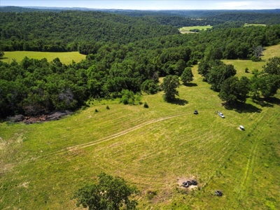 Ozarks Farm for Sale! 155 Acres of Land for Sale! - image 34