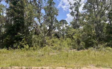 Property in Southern Oak Terrace in Jennings, FL - image 4