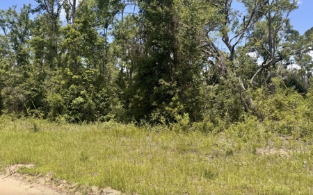 Property in Southern Oak Terrace in Jennings, FL - image 1