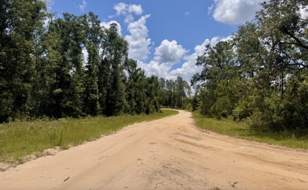 Property in Southern Oak Terrace in Jennings, FL - image 8