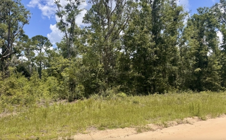 Property in Southern Oak Terrace in Jennings, FL - image 3